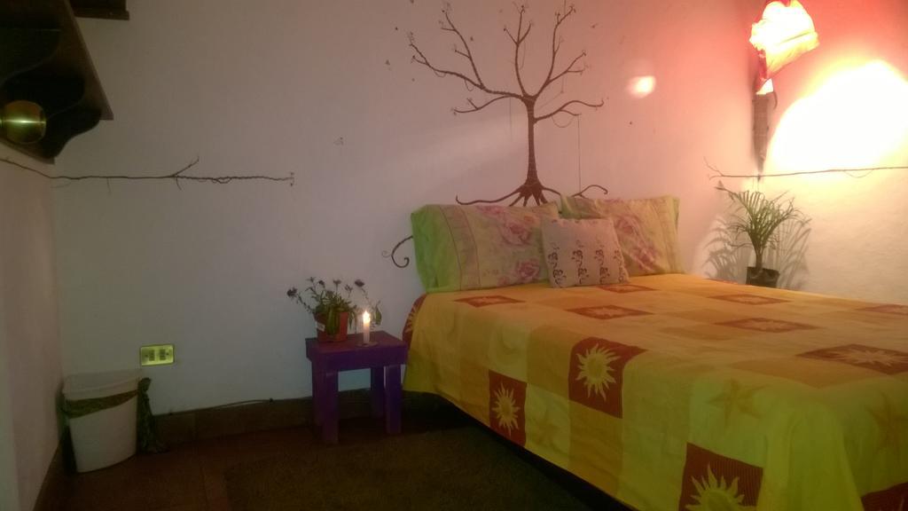 Natural Mystic Hostal Tepoztlán Dış mekan fotoğraf