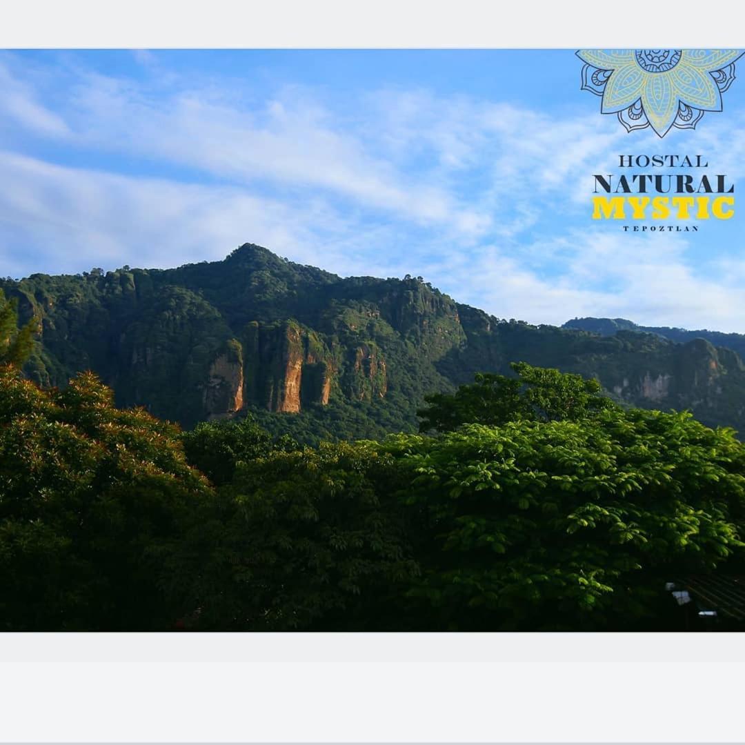 Natural Mystic Hostal Tepoztlán Dış mekan fotoğraf