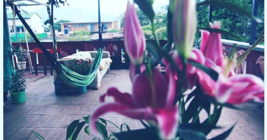 Natural Mystic Hostal Tepoztlán Dış mekan fotoğraf